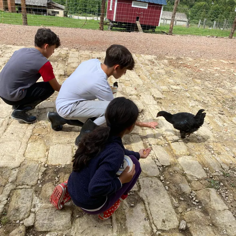 Des enfants accroupis donnent du maïs à une poule noire dans la cour de la ferme