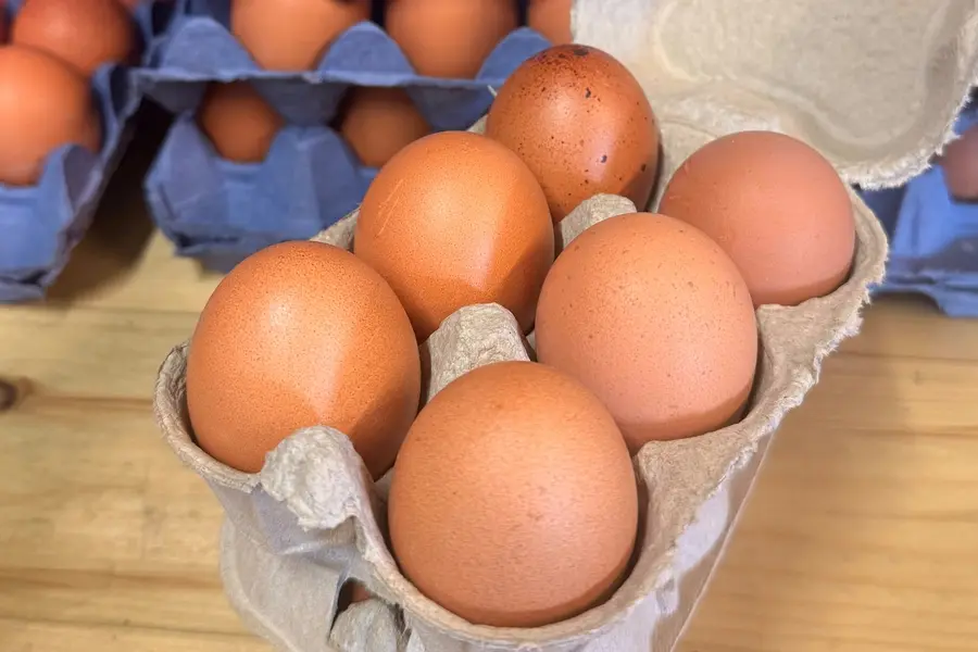 Une boîte de six œufs frais ouverte devant des plateaux d'œufs de la basse-cour
